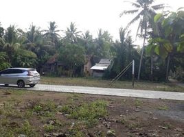  Land for sale in Pekalongan, Jawa Tengah, Tirto, Pekalongan