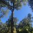  Land for sale in Chile, Chaiten, Palena, Los Lagos, Chile
