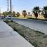  Land for rent in San Luis Potosi, San Luis Potosi, San Luis Potosi, San Luis Potosi