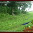  Land for sale in Selemadeg, Tabanan, Selemadeg