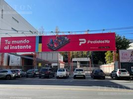  Terreno (Parcela) en alquiler en Argentina, Vicente López, Buenos Aires, Argentina