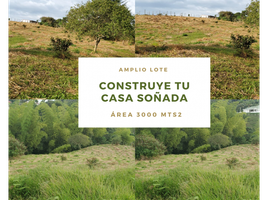  Grundstück zu verkaufen in Salento, Quindio, Salento
