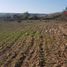  Terreno (Parcela) en venta en Chile, Vallenar, Huasco, Atacama, Chile