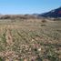  Land for sale in Vallenar, Atacama, Vallenar, Huasco, Atacama
