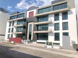 산타 이사벨 콜라, 푸에블라PropertyTypeNameBedroom, 산타 이사벨 콜라
