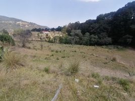  Grundstück zu verkaufen in Pachuca De Soto, Hidalgo, Pachuca De Soto, Hidalgo
