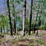  Terreno (Parcela) en venta en Valdivia, Los Ríos, Panguipulli, Valdivia