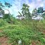  Land for sale in Chiriqui, Caldera, Boquete, Chiriqui