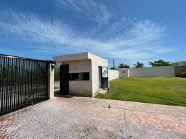  Grundstück zu verkaufen in Conkal, Yucatan, Conkal, Yucatan