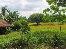  Land for sale in Tarlac, Central Luzon, Capas, Tarlac