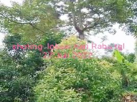  Land for sale in Gondang, Mojokerto, Gondang