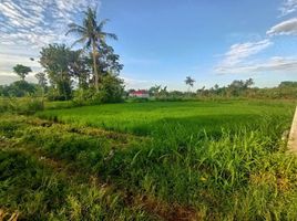  Land for sale in Ngemplak, Sleman, Ngemplak