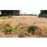 Land for sale in Cerro Punta, Chiriqui, Cerro Punta