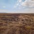  Land for sale in Ajacuba, Hidalgo, Ajacuba