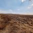  Land for sale in Ajacuba, Hidalgo, Ajacuba