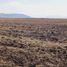  Land for sale in Ajacuba, Hidalgo, Ajacuba
