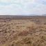  Land for sale in Ajacuba, Hidalgo, Ajacuba