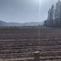  Land for sale in Chacabuco, Santiago, Lampa, Chacabuco