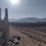  Land for sale in Chacabuco, Santiago, Lampa, Chacabuco