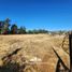  Land for sale in Chacabuco Santiago, Colina, Chacabuco, Santiago, Chile