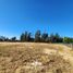  Land for sale in Chacabuco Santiago, Colina, Chacabuco, Santiago, Chile