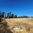  Land for sale in Chacabuco Santiago, Colina, Chacabuco, Santiago, Chile