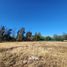  Land for sale in Chacabuco Santiago, Colina, Chacabuco, Santiago, Chile