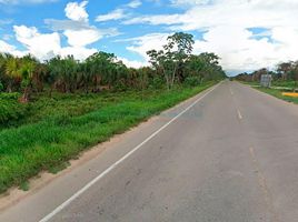  Terreno (Parcela) en venta en Coronel Portillo, Ucayali, Campoverde, Coronel Portillo