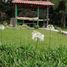 5 Bedroom Villa for sale in Retiro, Antioquia, Retiro