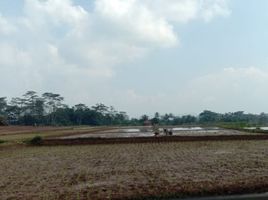  Grundstück zu verkaufen in Padalarang, West Jawa, Padalarang