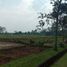  Grundstück zu verkaufen in Padalarang, West Jawa, Padalarang
