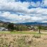  Terreno (Parcela) en venta en Quito, Pichincha, Tumbaco, Quito
