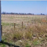  Terreno (Parcela) en venta en Araucanía, Tolten, Cautín, Araucanía