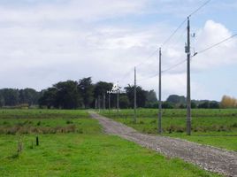  Terreno (Parcela) en venta en Araucanía, Tolten, Cautín, Araucanía