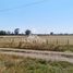  Terreno (Parcela) en venta en Araucanía, Tolten, Cautín, Araucanía