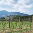  Land for sale in Arteaga, Coahuila, Arteaga, Coahuila