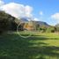  Terreno (Parcela) en venta en Ranco, Los Ríos, Futrono, Ranco