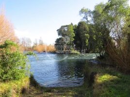  Terreno (Parcela) en venta en Ranco, Los Ríos, Futrono, Ranco