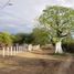  Villa for sale in Montecristi, Manabi, Montecristi, Montecristi