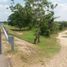  Land for sale in Santo Tomas, Atlantico, Santo Tomas