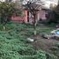  Land for sale in Chile, San Jode De Maipo, Cordillera, Santiago, Chile