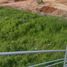  Terreno (Parcela) en alquiler en Tonala, Jalisco, Tonala