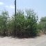  Terreno (Parcela) en venta en Pesqueria, Nuevo León, Pesqueria
