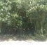  Land for rent in Cancun, Quintana Roo, Cancun