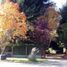 5 Schlafzimmer Villa zu verkaufen in Bariloche, Rio Negro, Bariloche