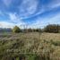Studio House for rent in Araucania, Lautaro, Cautin, Araucania
