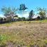  Land for sale in Alto Boquete, Boquete, Alto Boquete