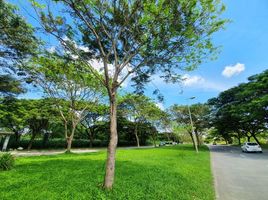  Land for sale in Calamba City, Calabarzon, Calamba City
