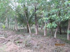  Land for sale in Puerto Princesa City, Mimaropa, Puerto Princesa City, Palawan, Mimaropa