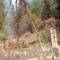  Land for sale in San Fernando City, Ilocos, San Fernando City, La Union